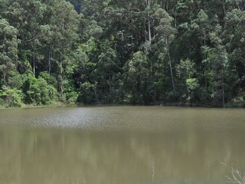 Lot 1 Newmans Road, Woolgoolga NSW 2456