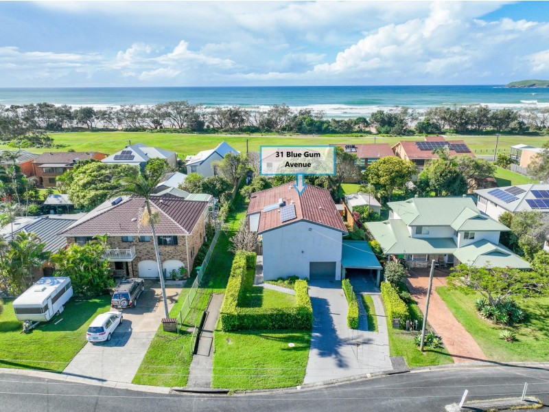 31 Bluegum Avenue, Sandy Beach NSW 2456