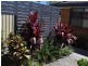 11 Hubboard Street, Woolgoolga NSW 2456