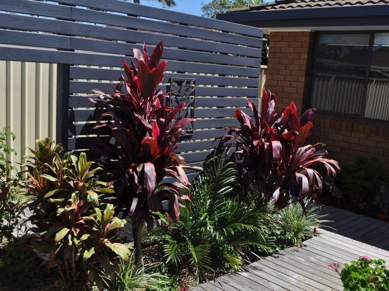 11 Hubboard Street, Woolgoolga NSW 2456