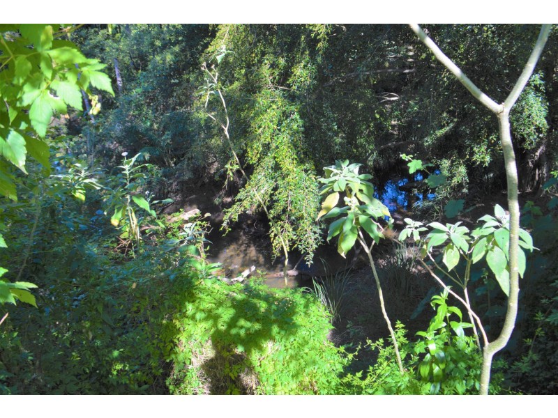 43 Robin Street, Coffs Harbour NSW 2450