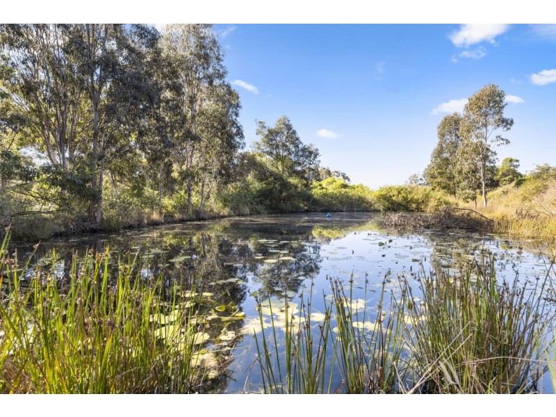43 Whitton Place, Mullaway NSW 2456