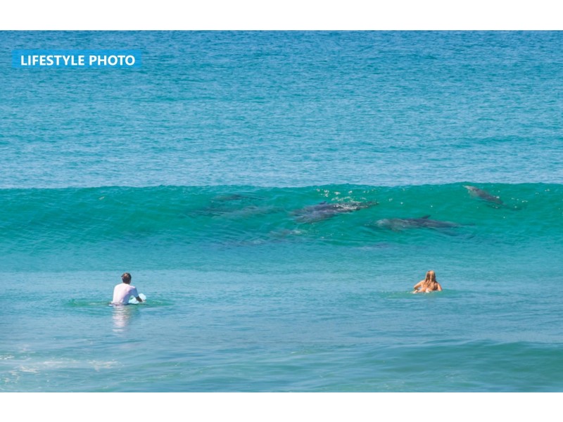 Lot 52 Pacific Street, Corindi Beach NSW 2456