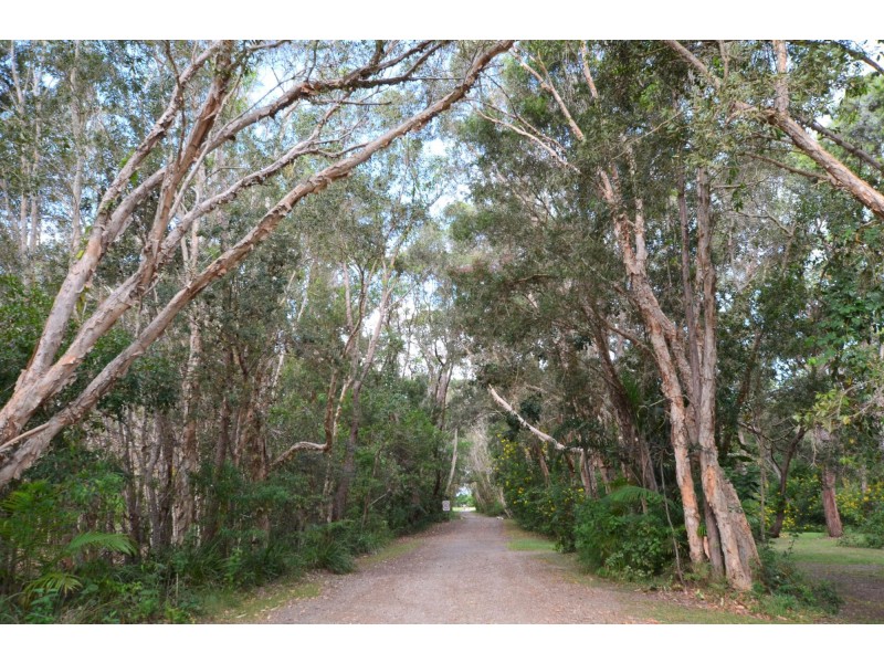 Site 24/210 Eggins Drive, Arrawarra NSW 2456