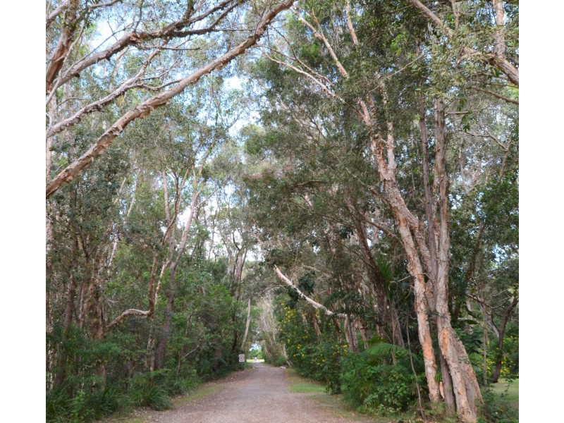 Site 24/210 Eggins Drive, Arrawarra NSW 2456