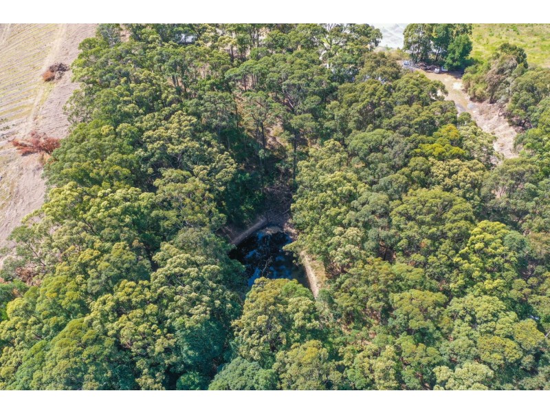 111 Johnsons Road, Sandy Beach NSW 2456