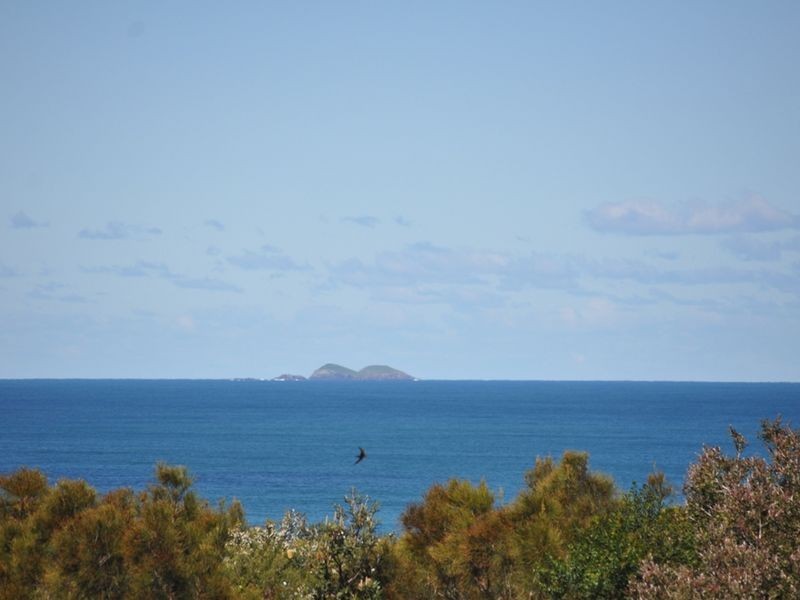 11 Wisteria, Minnie Water NSW 2462