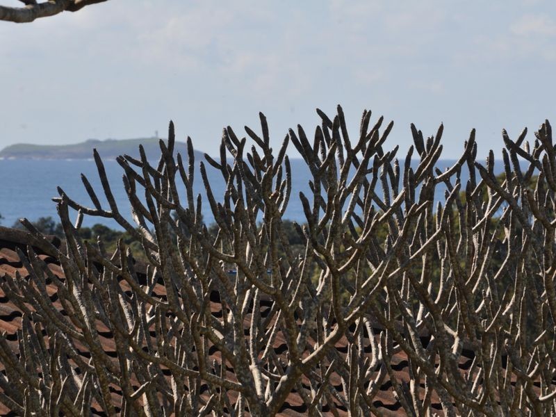 Lot 6 Woodhouse Street, Moonee Beach NSW 2450