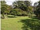 41 Shearer Drive, Woolgoolga NSW 2456