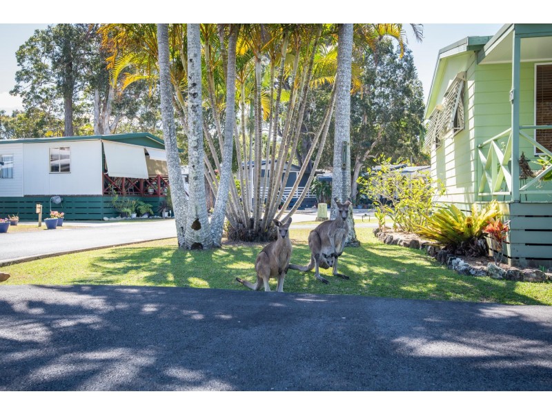 20 Lorikeet Lane, Arrawarra NSW 2456