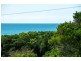 114 Sandys Beach Drive, Sandy Beach NSW 2456