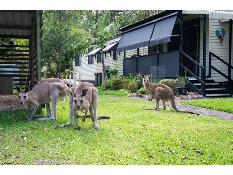 Site 13 Lorikeet Lane, Arrawarra NSW 2456