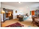 42 Dammerel Crescent, Emerald Beach NSW 2456