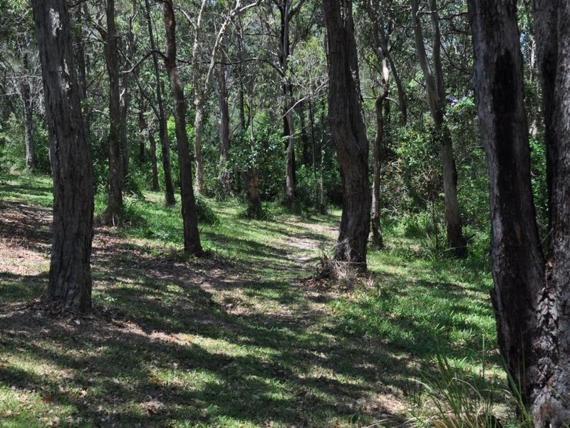 22 Lakeview Avenue, Safety Beach NSW 2456