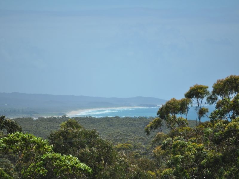 115 Wedding Bells Way, Woolgoolga NSW 2456