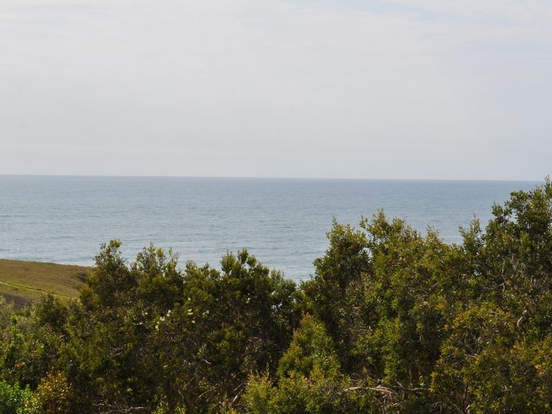59 Cassia Lane, Woolgoolga NSW 2456