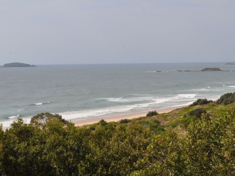 59 Cassia Lane, Woolgoolga NSW 2456