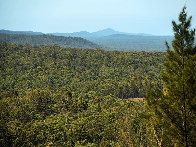 214 Grays Road, Halfway Creek NSW 2460