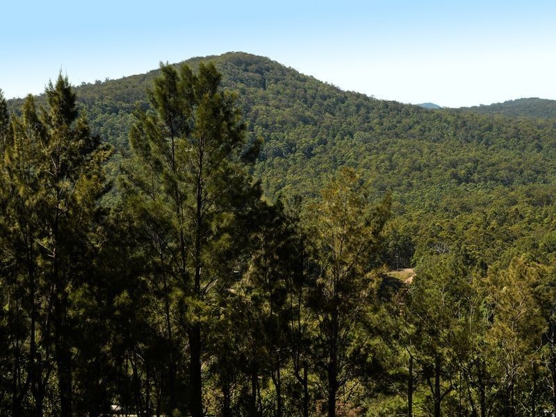 214 Grays Road, Halfway Creek NSW 2460