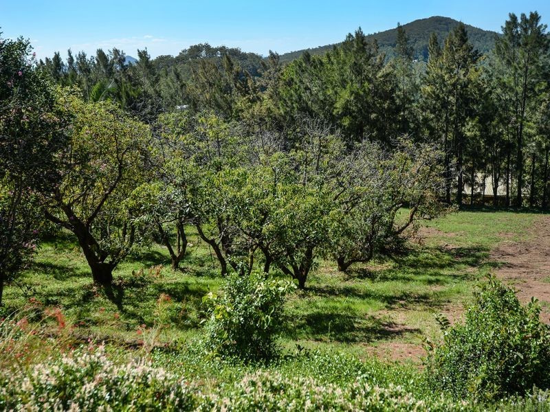 214 Grays Road, Halfway Creek NSW 2460