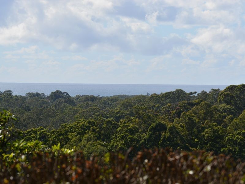 131 Johnsons Road, Sandy Beach NSW 2456