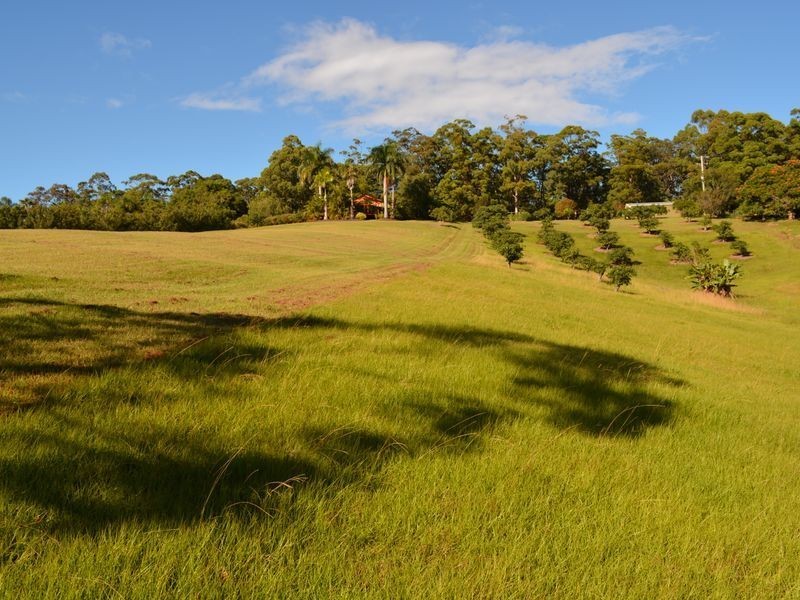 131 Johnsons Road, Sandy Beach NSW 2456