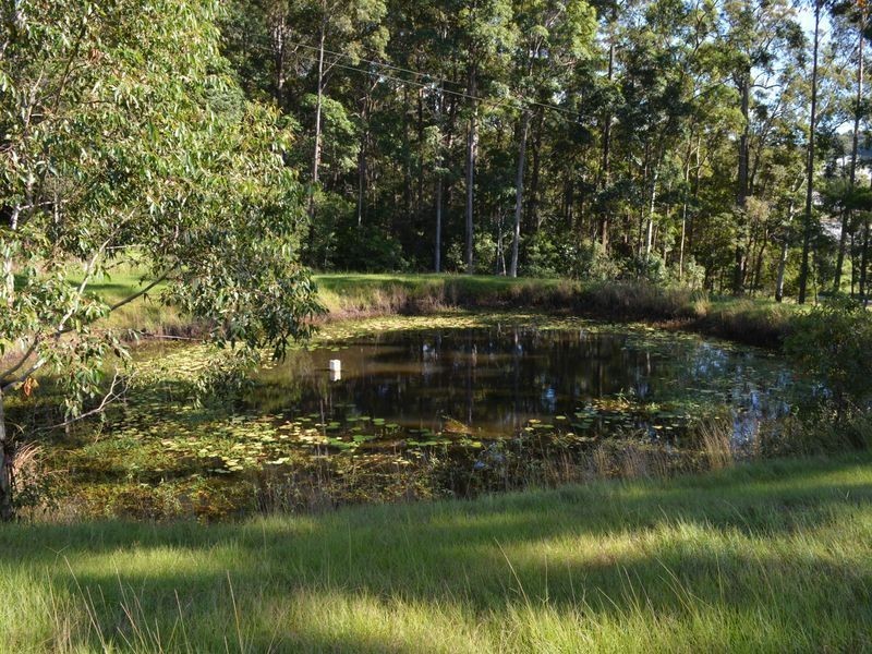 131 Johnsons Road, Sandy Beach NSW 2456