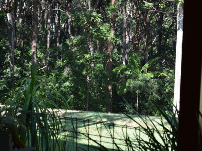 131 Johnsons Road, Sandy Beach NSW 2456