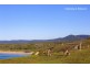 60 Dammerel Crescent, Emerald Beach NSW 2456