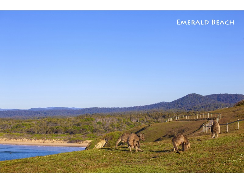 60 Dammerel Crescent, Emerald Beach NSW 2456
