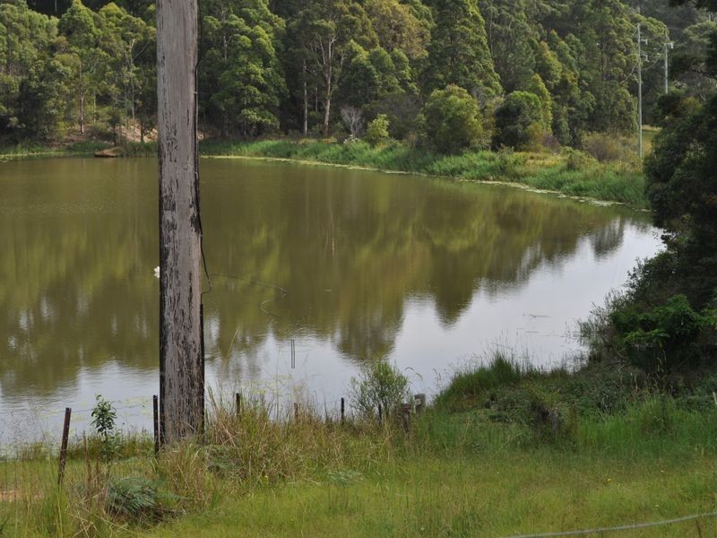 28 Park Avenue, Woolgoolga NSW 2456