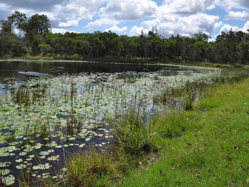 10 Parker Road, Wells Crossing NSW 2460