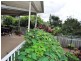 55 Ironbark Avenue, Sandy Beach NSW 2456