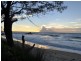 55 Ironbark Avenue, Sandy Beach NSW 2456