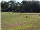 16 Dalgety Street, Woolgoolga NSW 2456