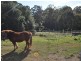 16 Dalgety Street, Woolgoolga NSW 2456