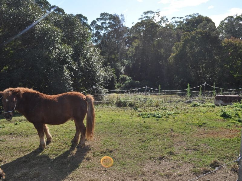 16 Dalgety Street, Woolgoolga NSW 2456