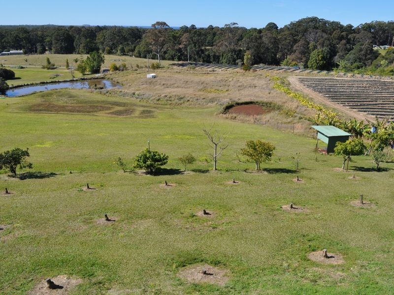 81 Old Bucca Road, Moonee Beach NSW 2450