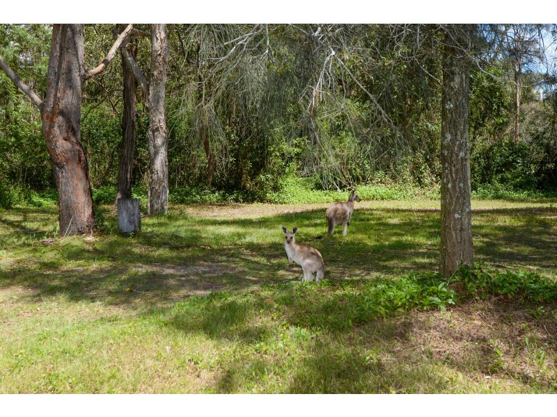 13 Ocean Links Close, Safety Beach NSW 2456