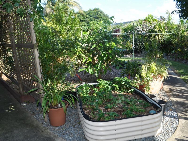 15 Dalgety Street, Woolgoolga NSW 2456