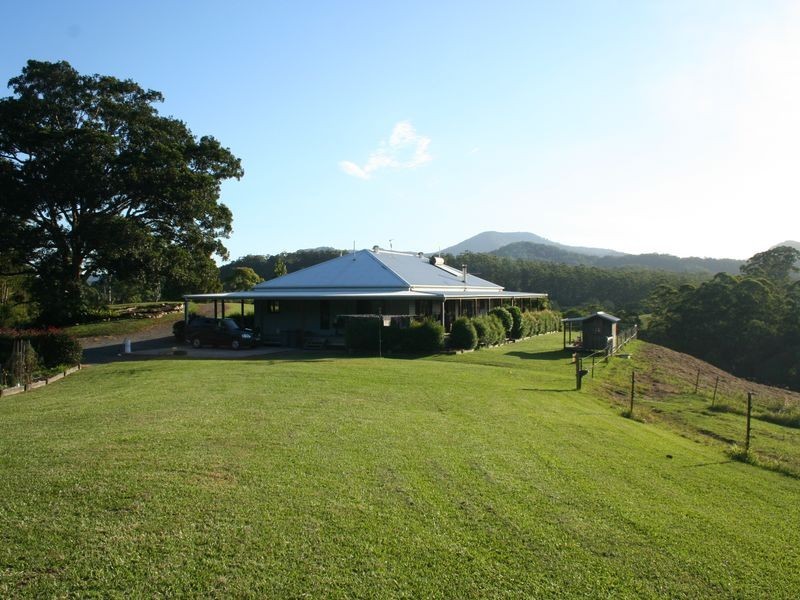 703 Bowraville Road, Bellingen NSW 2454