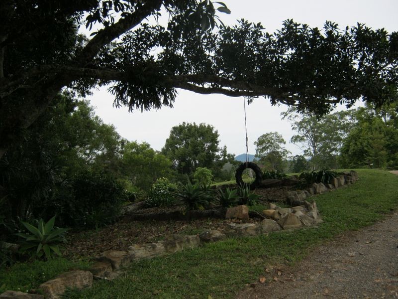 703 Bowraville Road, Bellingen NSW 2454