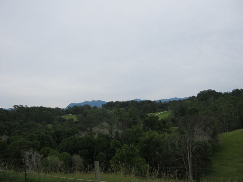 703 Bowraville Road, Bellingen NSW 2454