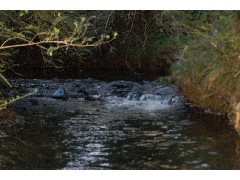 7630 Armidale Road, Billys Creek NSW 2453