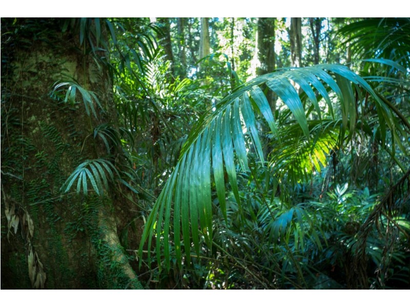 7630 Armidale Road, Billys Creek NSW 2453