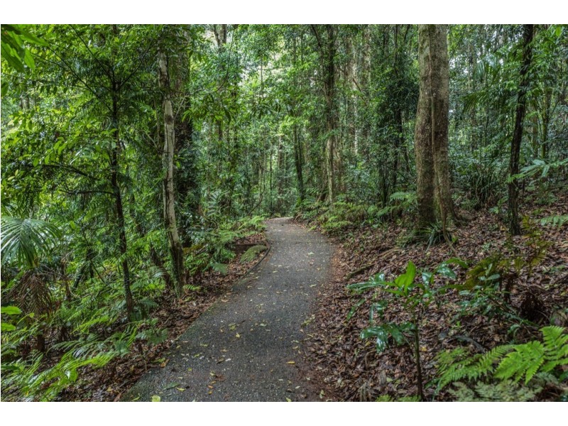 7630 Armidale Road, Billys Creek NSW 2453