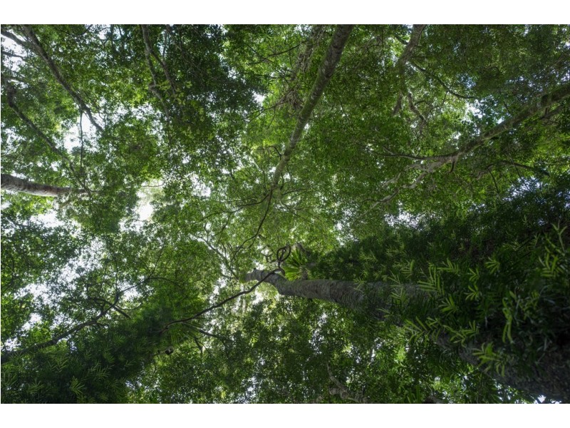 7630 Armidale Road, Billys Creek NSW 2453