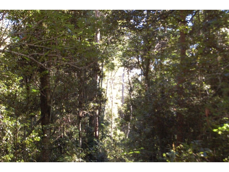 7630 Armidale Road, Billys Creek NSW 2453