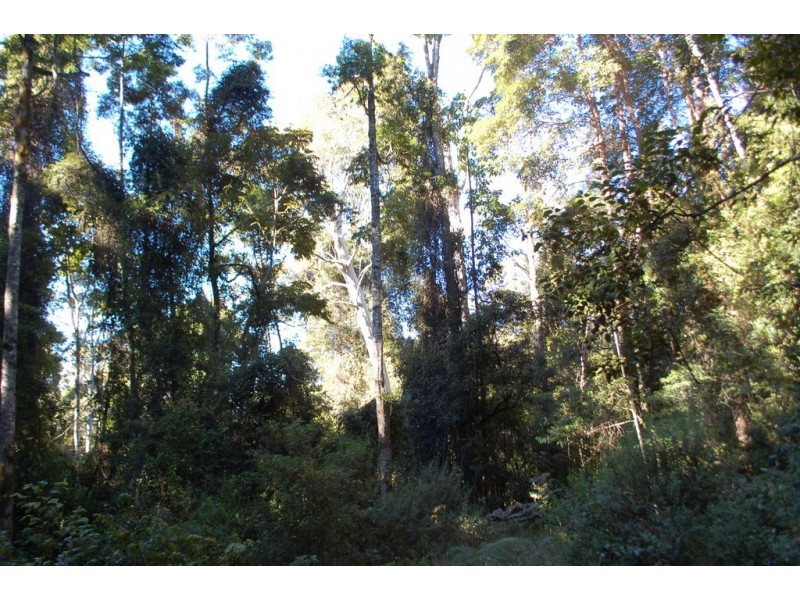 7630 Armidale Road, Billys Creek NSW 2453