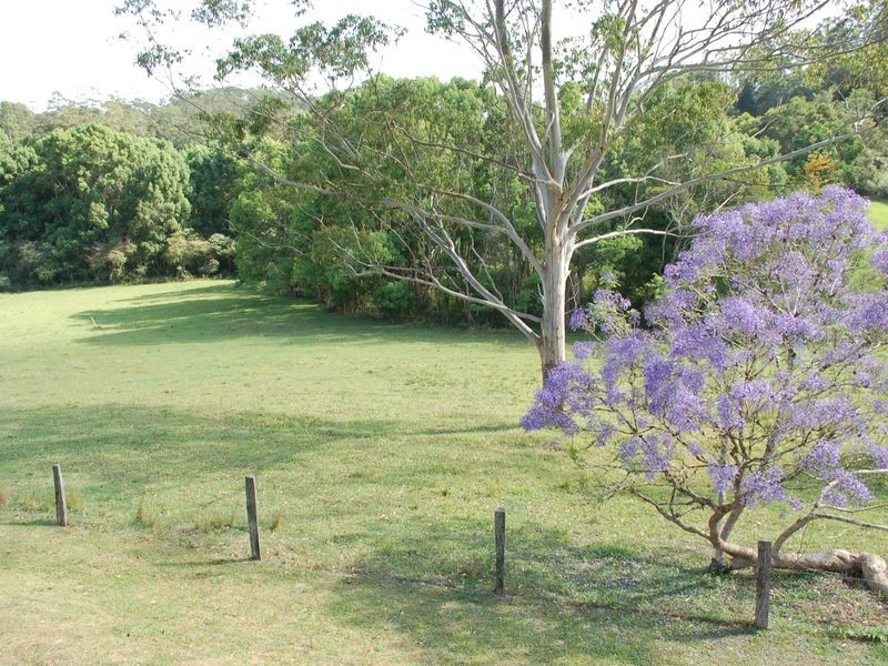 499 Bowraville Road, Bellingen NSW 2454